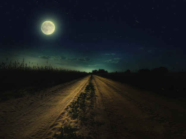 Rasa Naktis – Midnight walk